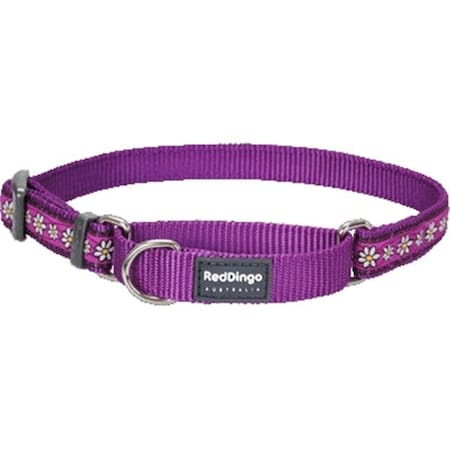 Red Dingo MC-DC-PU-ME Martingale Dog Collar Design Daisy Chain Purple; Medium